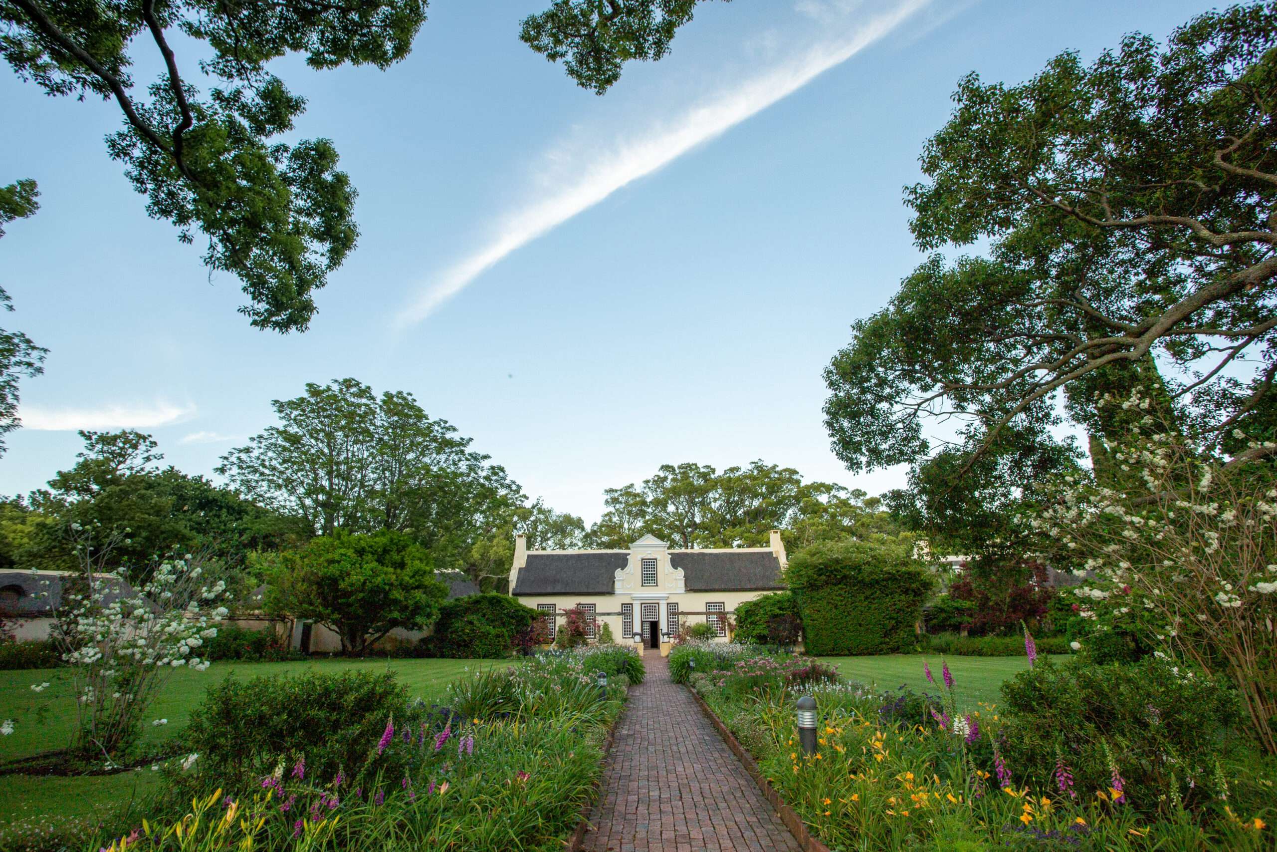 Winemaker - Vergelegen Wine Estate